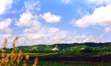 Les falaises de la Roche-Guyon