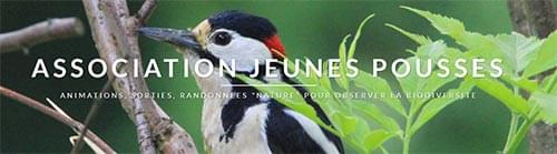 Jeunes pousses