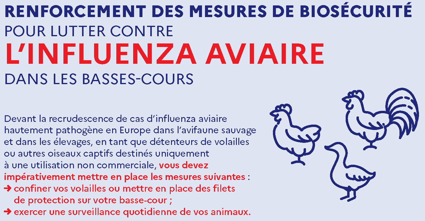 IMPORTANT Mesures de Biosecurité des basses-cours copie